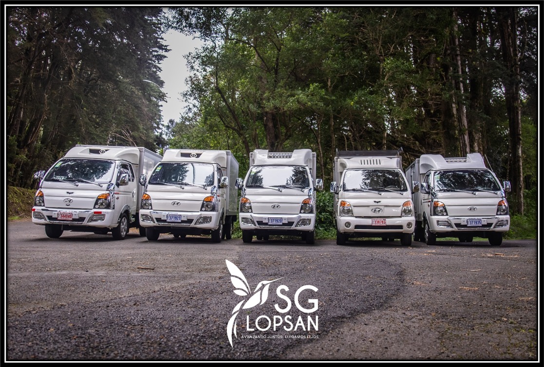 SG LOPSAN SRL - Galería 25